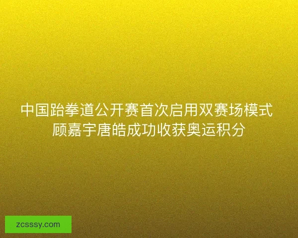 中国跆拳道公开赛首次启用双赛场模式 顾嘉宇唐皓成功收获奥运积分