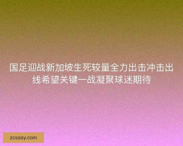 国足迎战新加坡生死较量全力出击冲击出线希望关键一战凝聚球迷期待